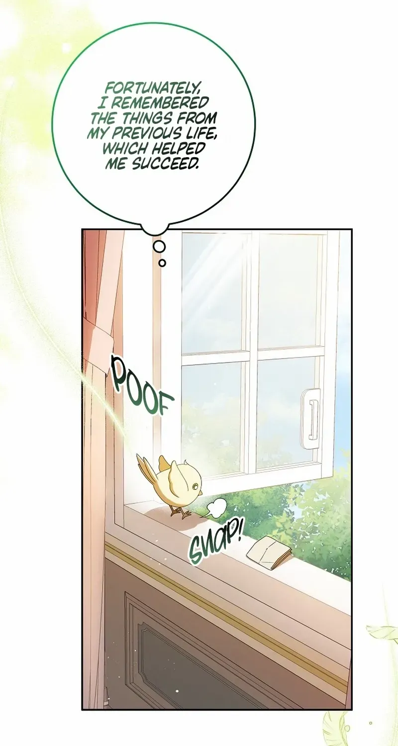 The Beloved New Daughter-in-law Of The Wolf Mansion Chapter 4 page 10 - 