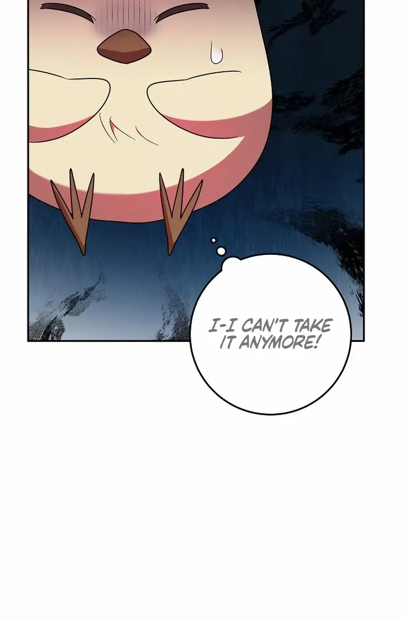 The Beloved New Daughter-in-law Of The Wolf Mansion Chapter 5 page 19 - 
