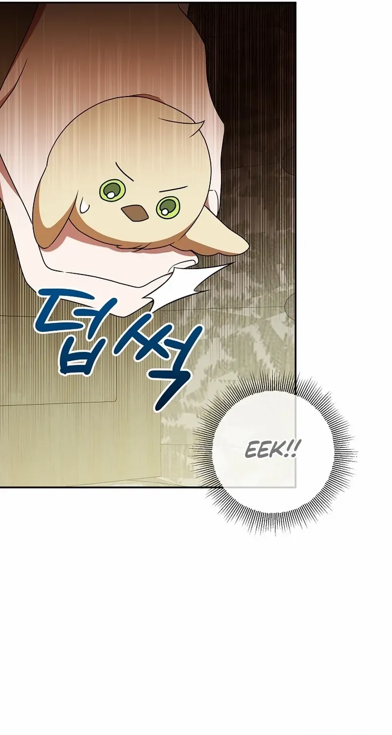 The Beloved New Daughter-in-law Of The Wolf Mansion Chapter 5 page 26 - 