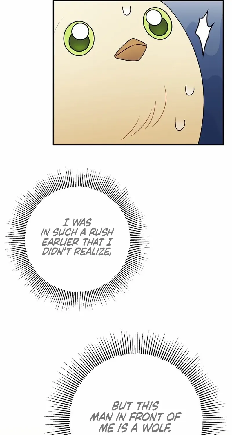 The Beloved New Daughter-in-law Of The Wolf Mansion Chapter 5 page 27 - 