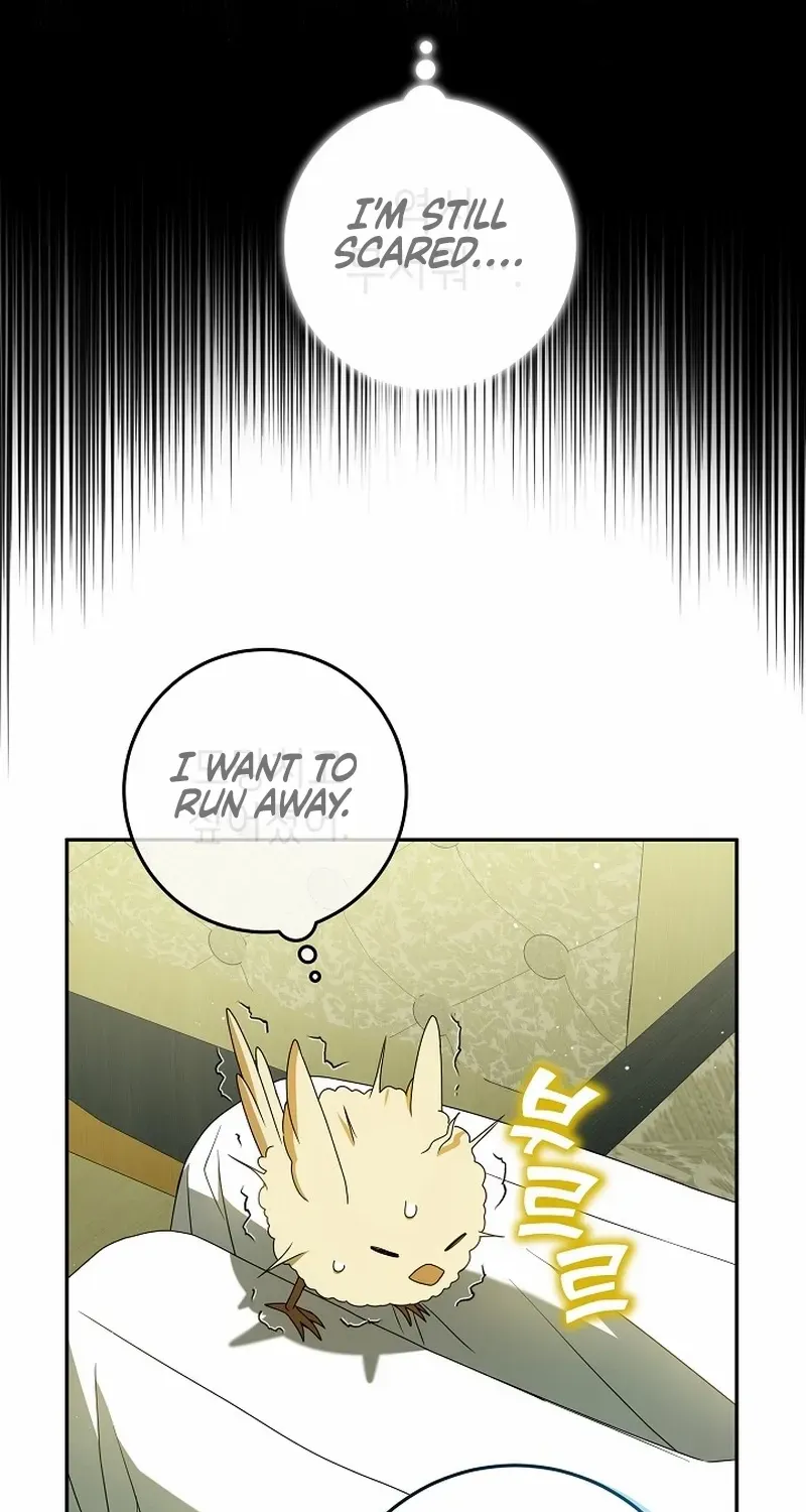 The Beloved New Daughter-in-law Of The Wolf Mansion Chapter 5 page 39 - 