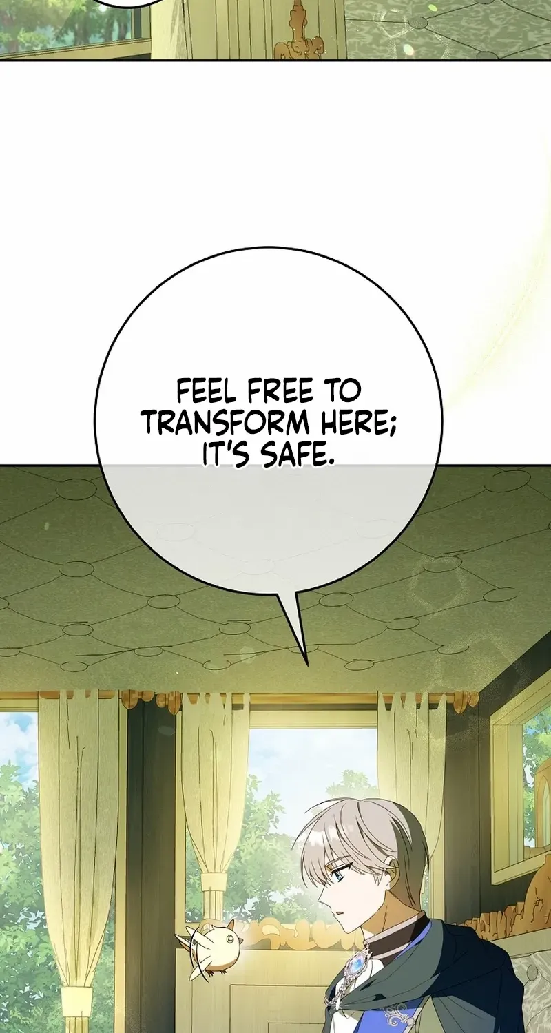 The Beloved New Daughter-in-law Of The Wolf Mansion Chapter 5 page 47 - 