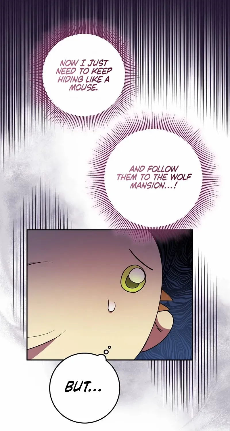 The Beloved New Daughter-in-law Of The Wolf Mansion Chapter 5 page 8 - 