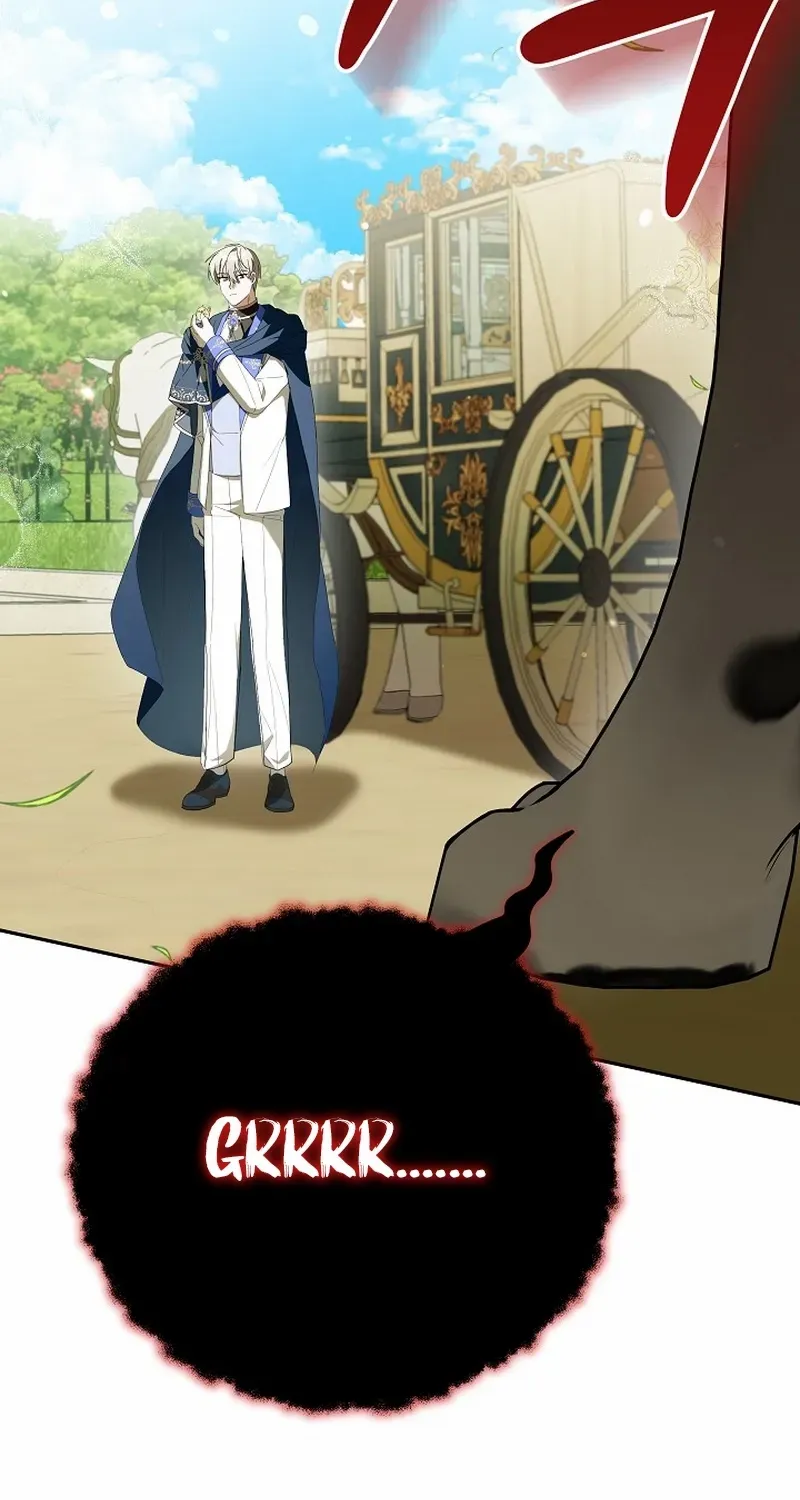 The Beloved New Daughter-in-law Of The Wolf Mansion Chapter 5 page 72 - 