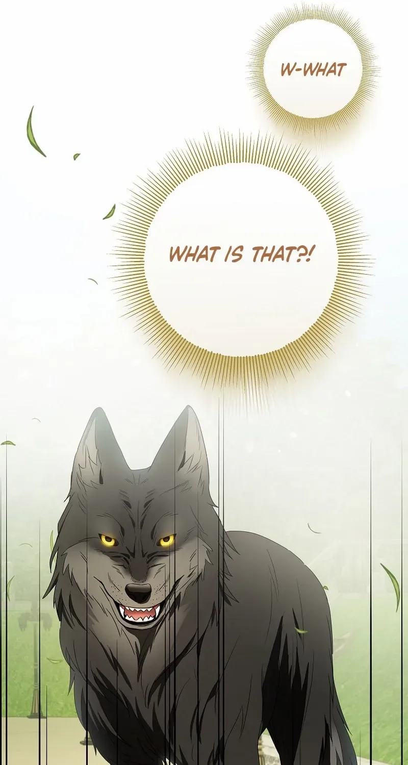 The Beloved New Daughter-in-law Of The Wolf Mansion Chapter 5 page 74 - 
