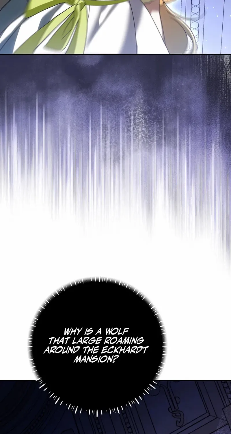 The Beloved New Daughter-in-law Of The Wolf Mansion Chapter 51 page 68 - 