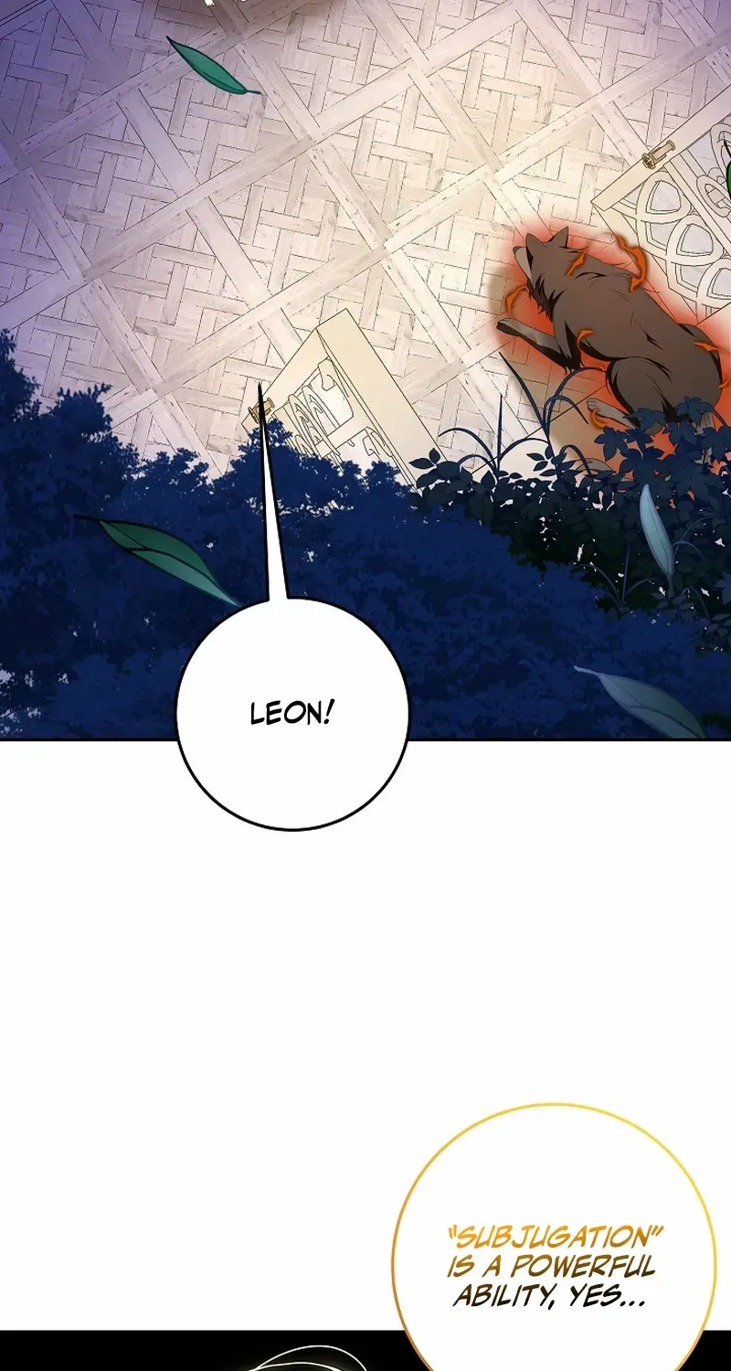 The Beloved New Daughter-in-law Of The Wolf Mansion Chapter 52 page 24 - 