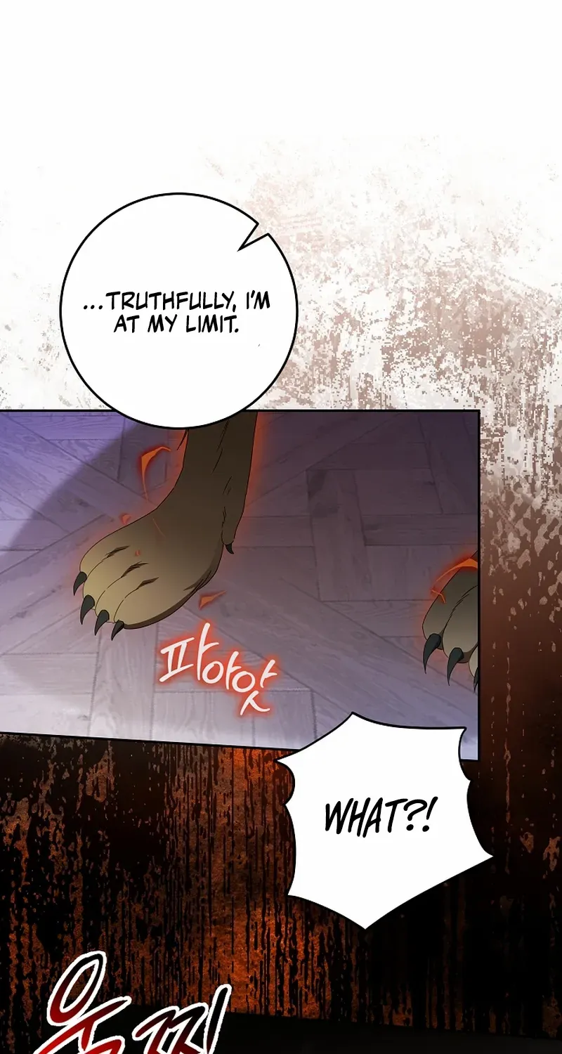 The Beloved New Daughter-in-law Of The Wolf Mansion Chapter 52 page 28 - 