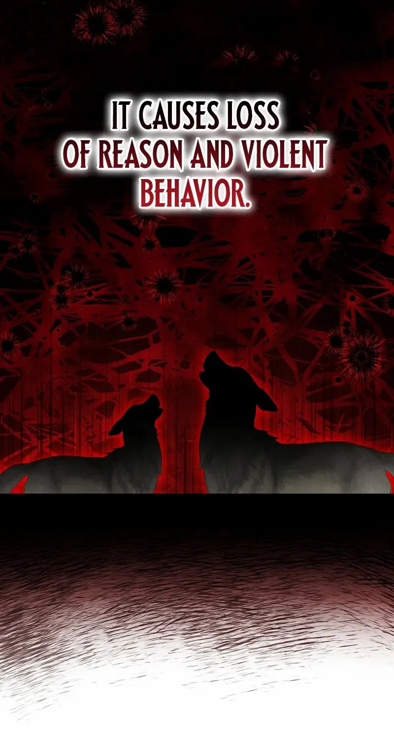 The Beloved New Daughter-in-law Of The Wolf Mansion Chapter 52 page 57 - 