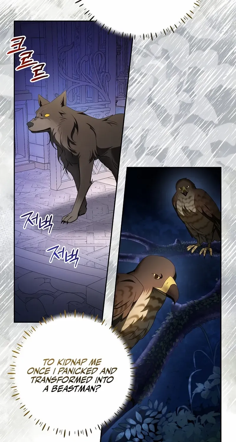 The Beloved New Daughter-in-law Of The Wolf Mansion Chapter 52 page 10 - 