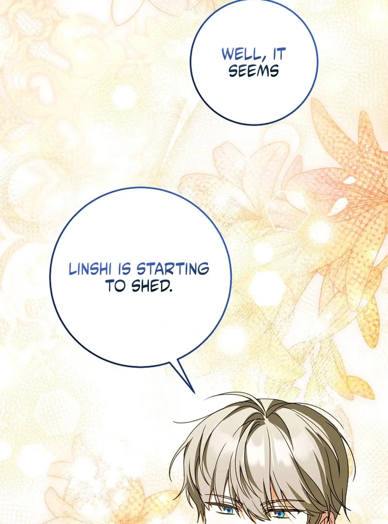 The Beloved New Daughter-in-law Of The Wolf Mansion Chapter 55 page 34 - 