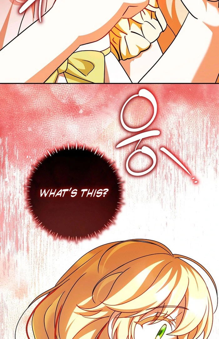 The Beloved New Daughter-in-law Of The Wolf Mansion Chapter 59 page 108 - 