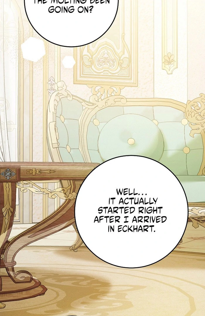 The Beloved New Daughter-in-law Of The Wolf Mansion Chapter 59 page 48 - 