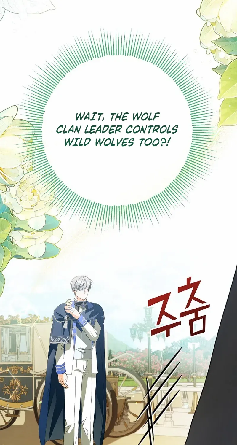 The Beloved New Daughter-in-law Of The Wolf Mansion Chapter 6 page 12 - 