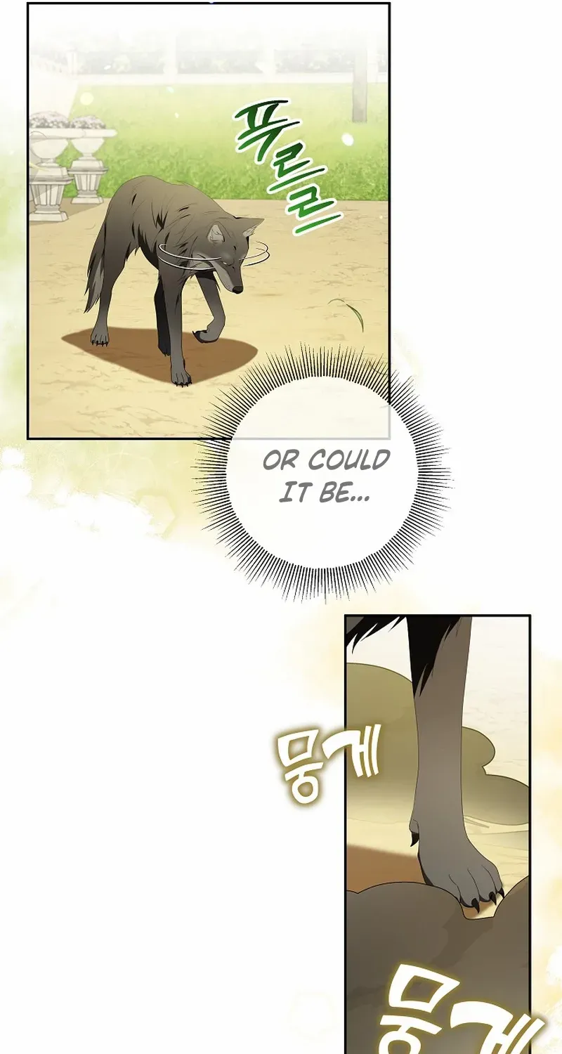 The Beloved New Daughter-in-law Of The Wolf Mansion Chapter 6 page 14 - 