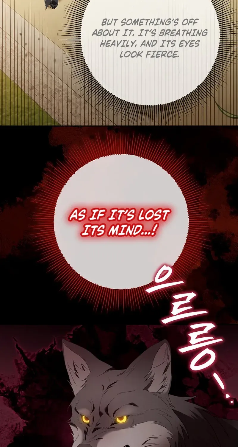 The Beloved New Daughter-in-law Of The Wolf Mansion Chapter 6 page 4 - 