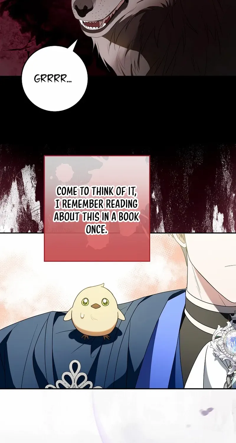 The Beloved New Daughter-in-law Of The Wolf Mansion Chapter 6 page 5 - 