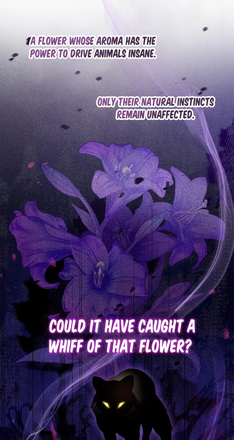 The Beloved New Daughter-in-law Of The Wolf Mansion Chapter 6 page 6 - 