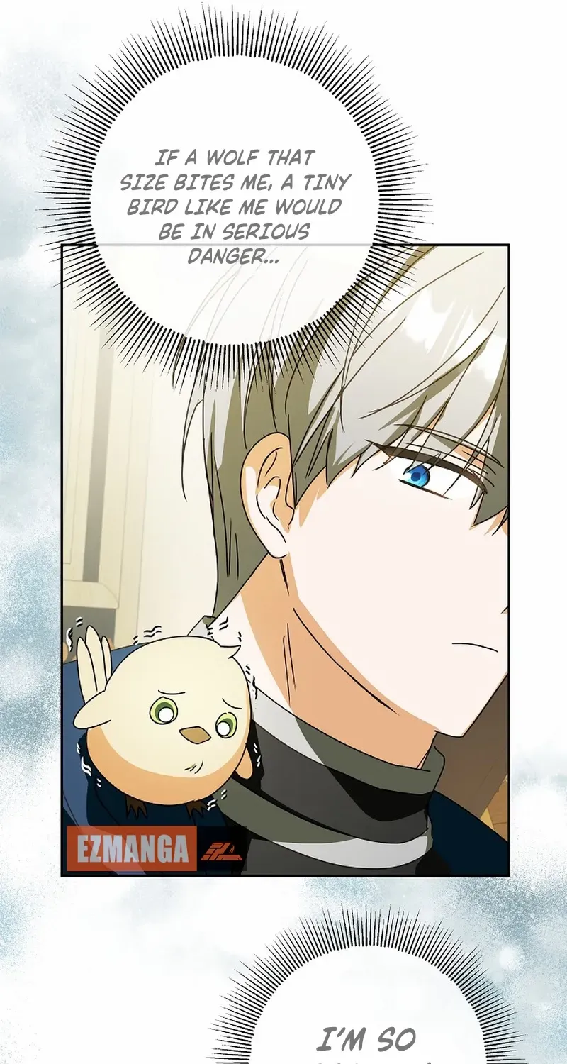 The Beloved New Daughter-in-law Of The Wolf Mansion Chapter 6 page 8 - 