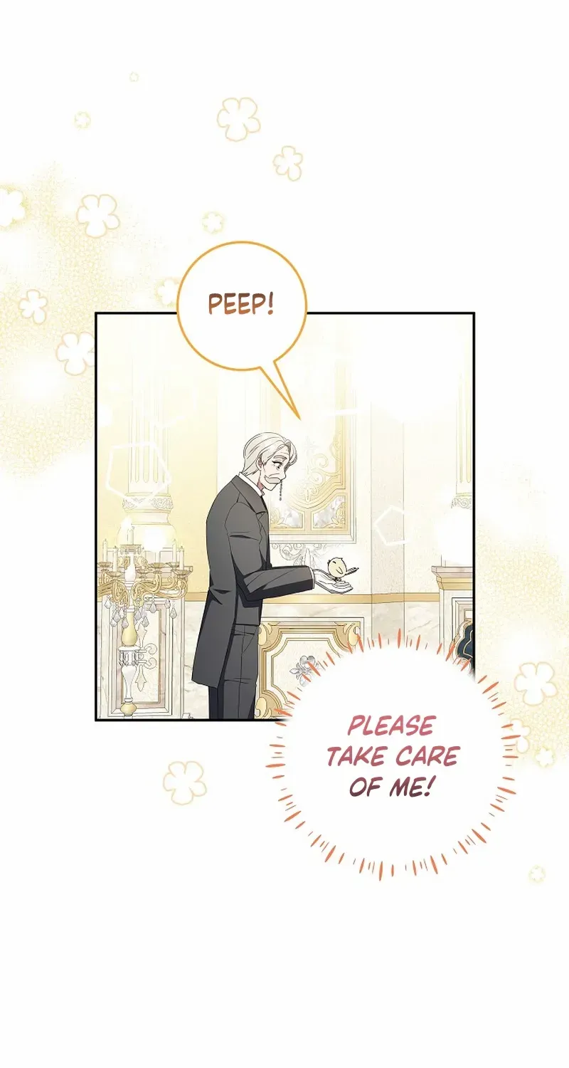 The Beloved New Daughter-in-law Of The Wolf Mansion Chapter 6 page 74 - 