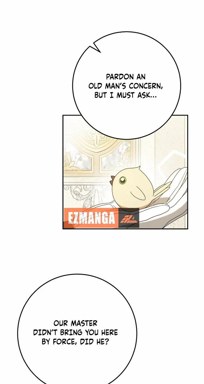 The Beloved New Daughter-in-law Of The Wolf Mansion Chapter 6 page 75 - 