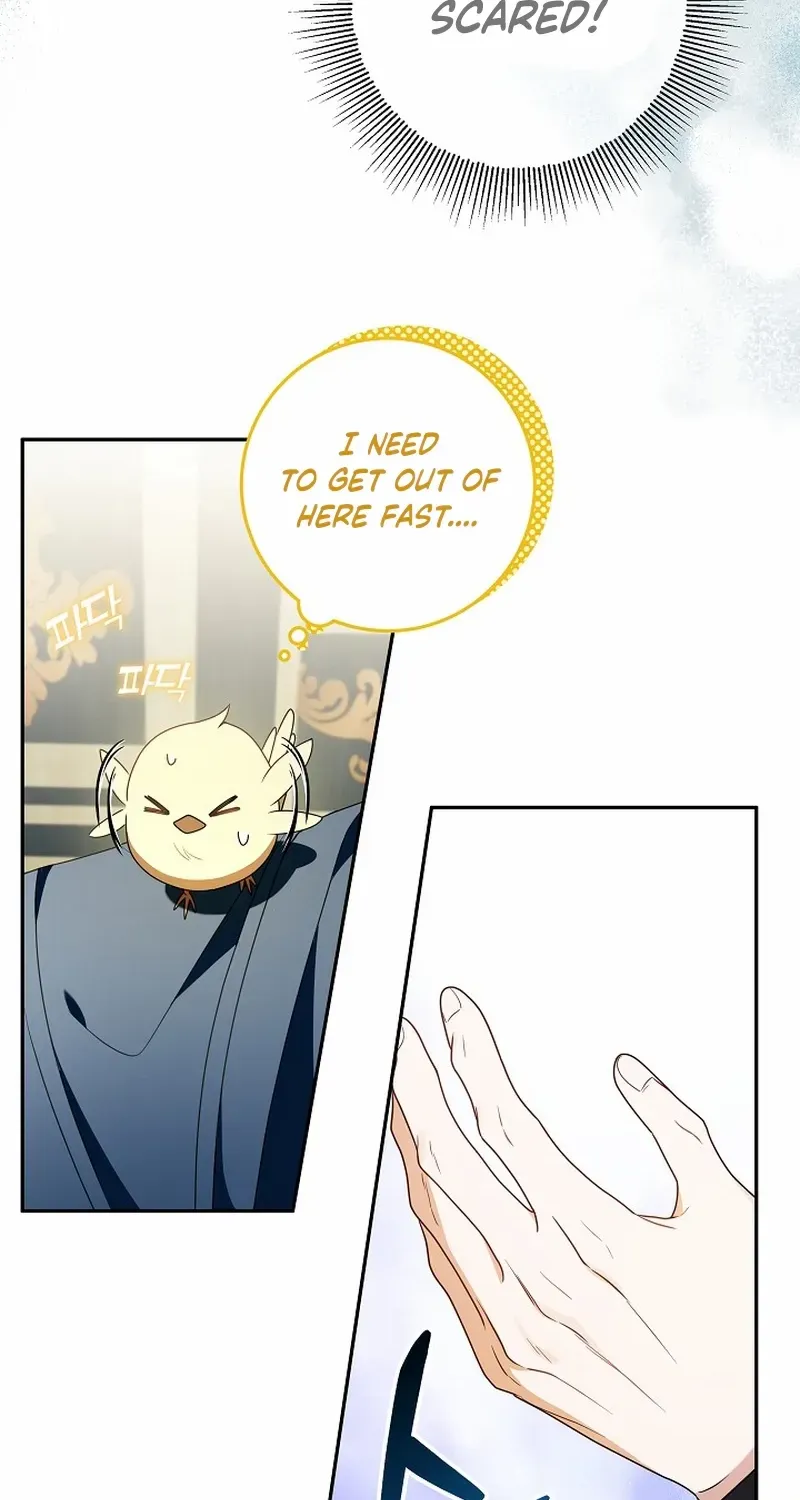 The Beloved New Daughter-in-law Of The Wolf Mansion Chapter 6 page 9 - 
