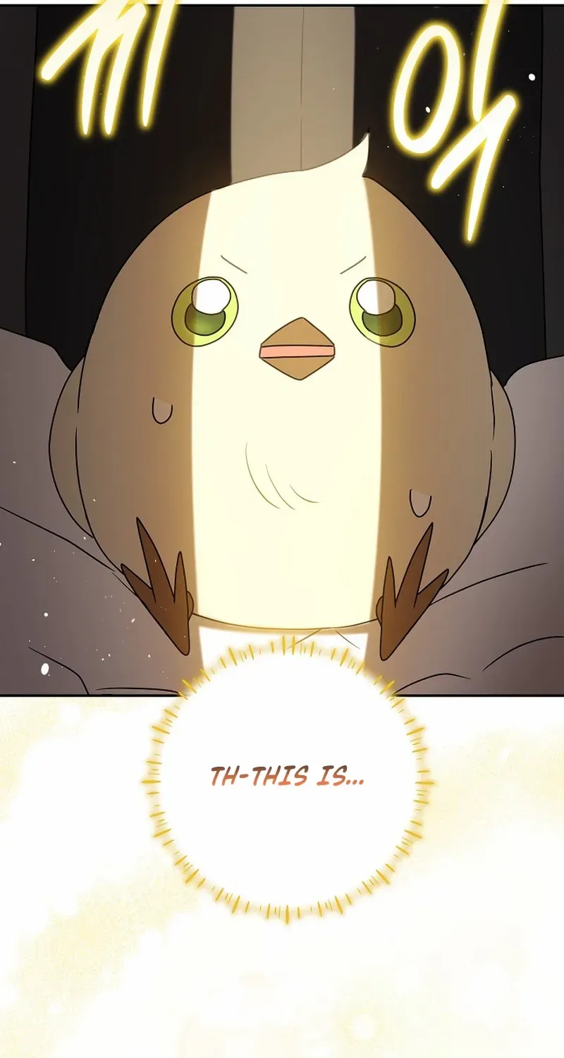 The Beloved New Daughter-in-law Of The Wolf Mansion Chapter 6 page 86 - 