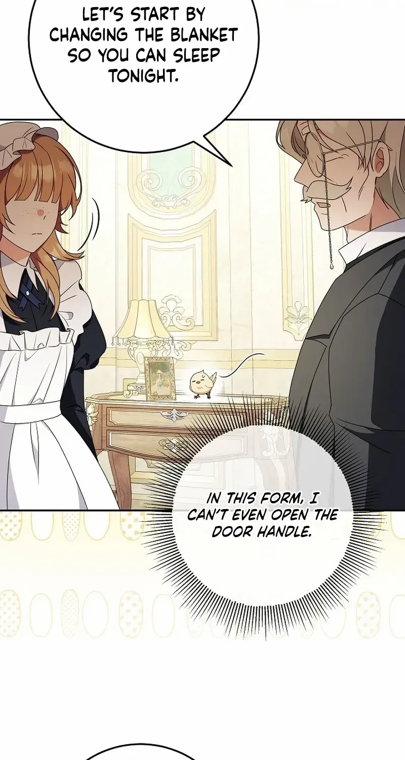 The Beloved New Daughter-in-law Of The Wolf Mansion Chapter 7 page 14 - 