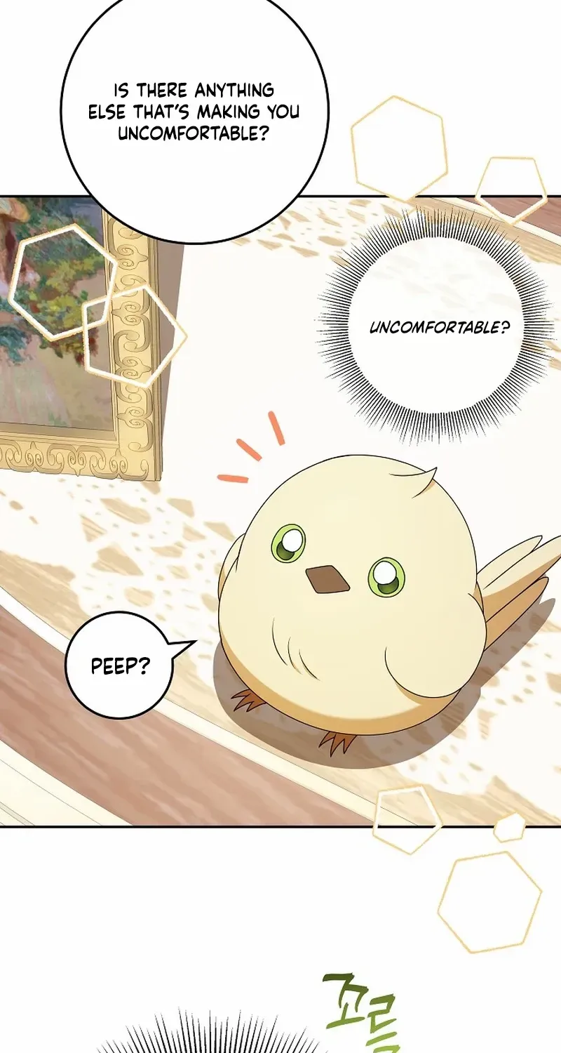 The Beloved New Daughter-in-law Of The Wolf Mansion Chapter 7 page 15 - 