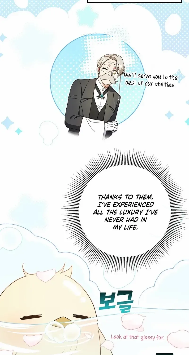The Beloved New Daughter-in-law Of The Wolf Mansion Chapter 7 page 26 - 