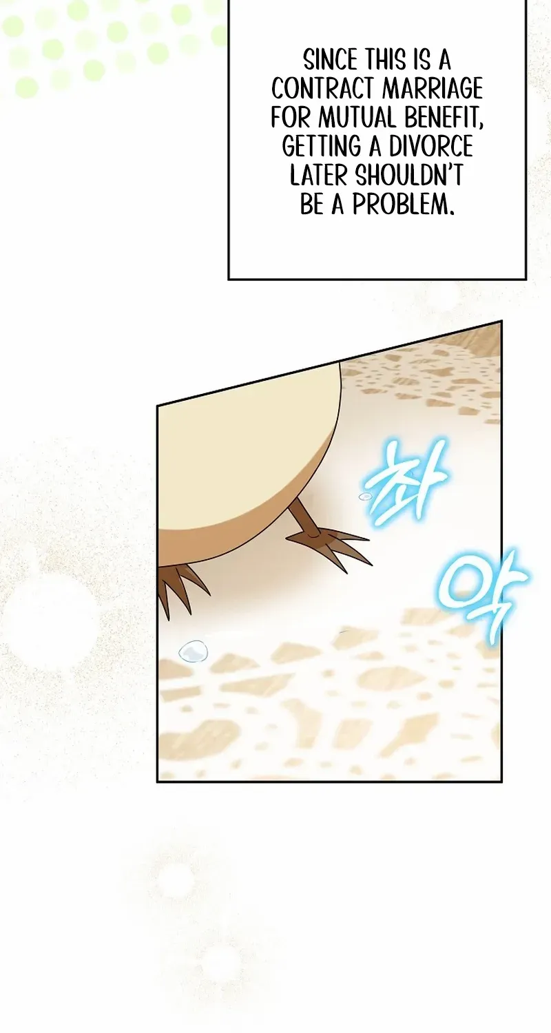 The Beloved New Daughter-in-law Of The Wolf Mansion Chapter 7 page 35 - 