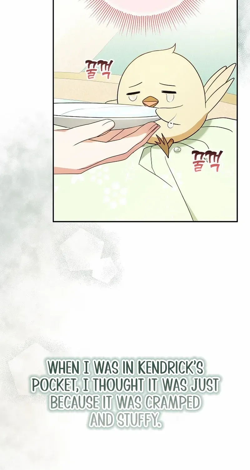 The Beloved New Daughter-in-law Of The Wolf Mansion Chapter 7 page 69 - 