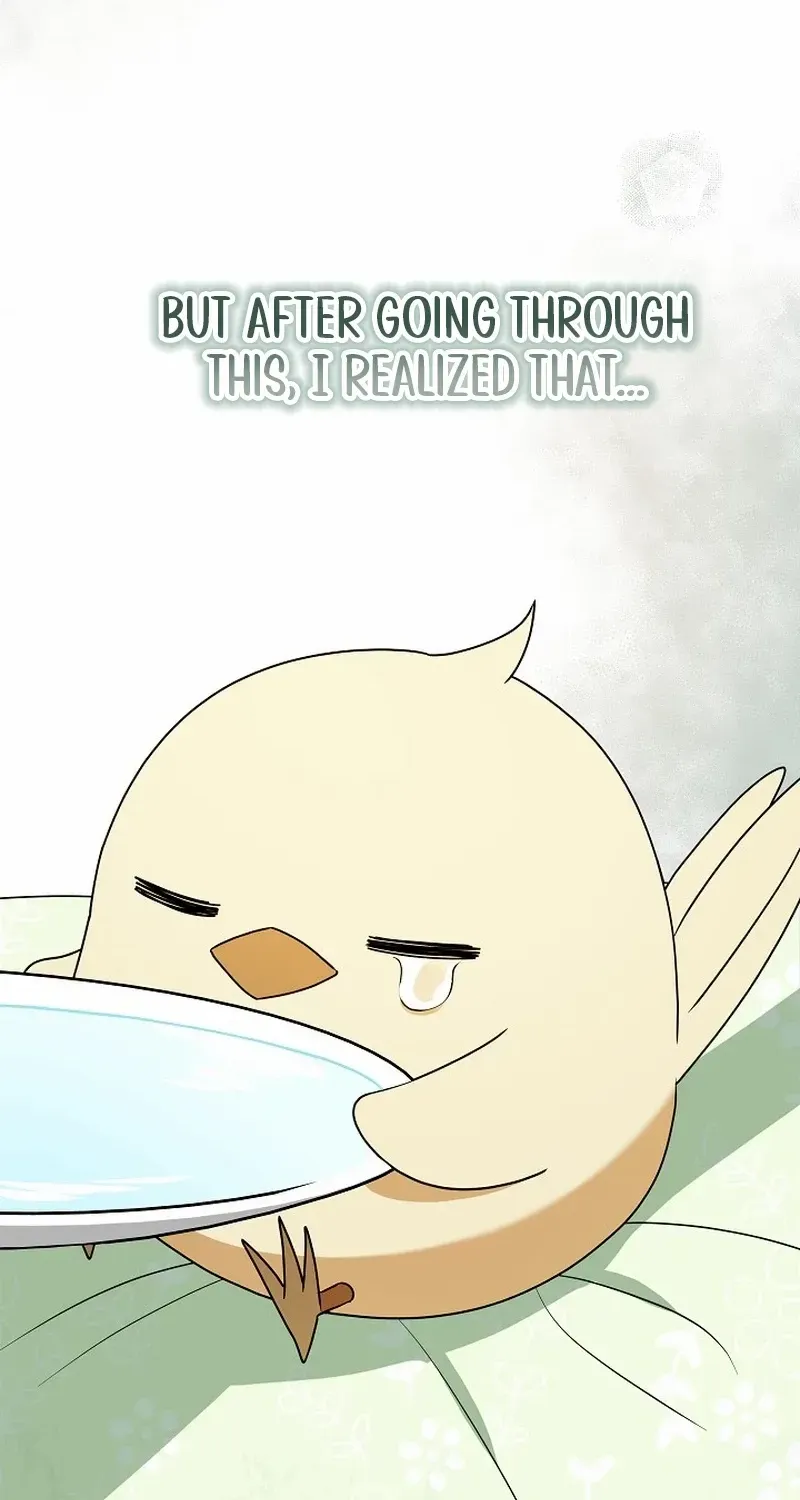 The Beloved New Daughter-in-law Of The Wolf Mansion Chapter 7 page 70 - 