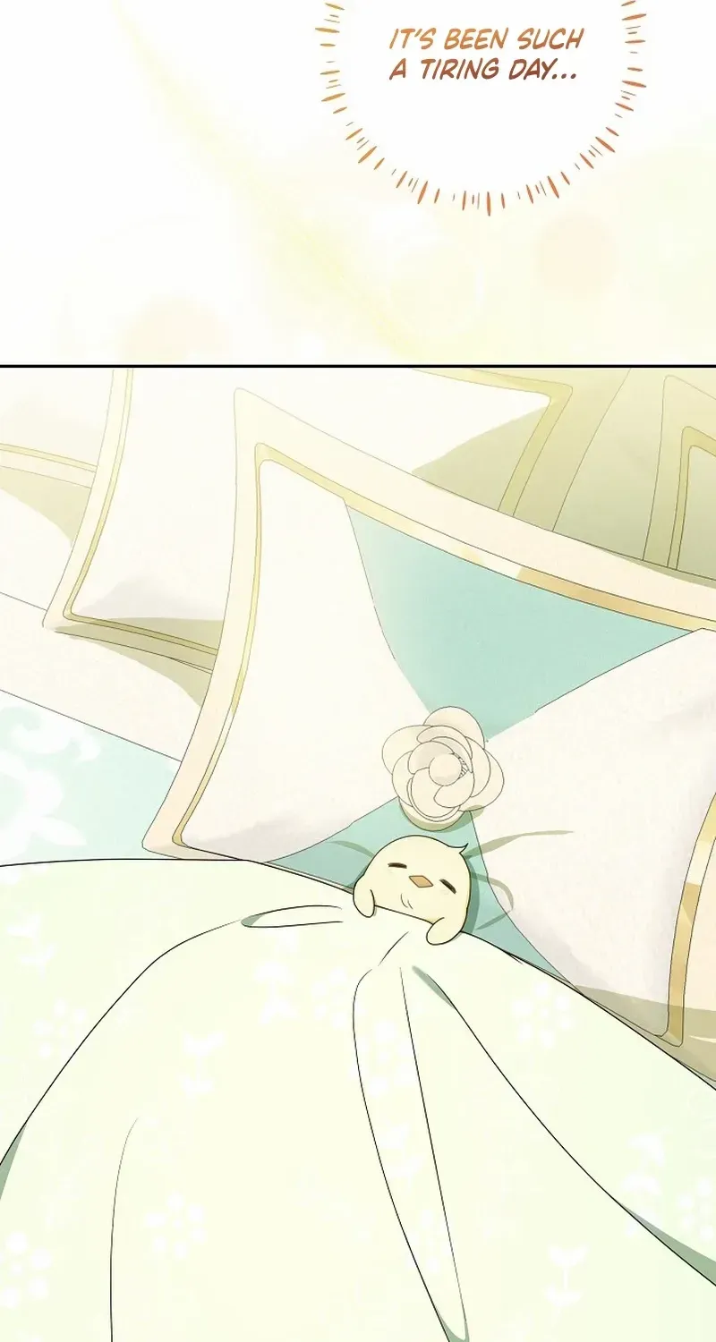 The Beloved New Daughter-in-law Of The Wolf Mansion Chapter 7 page 79 - 