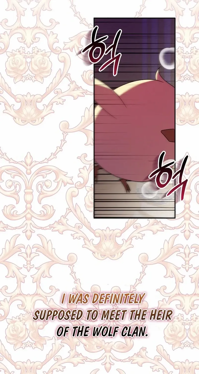 The Beloved New Daughter-in-law Of The Wolf Mansion Chapter 8 page 2 - 