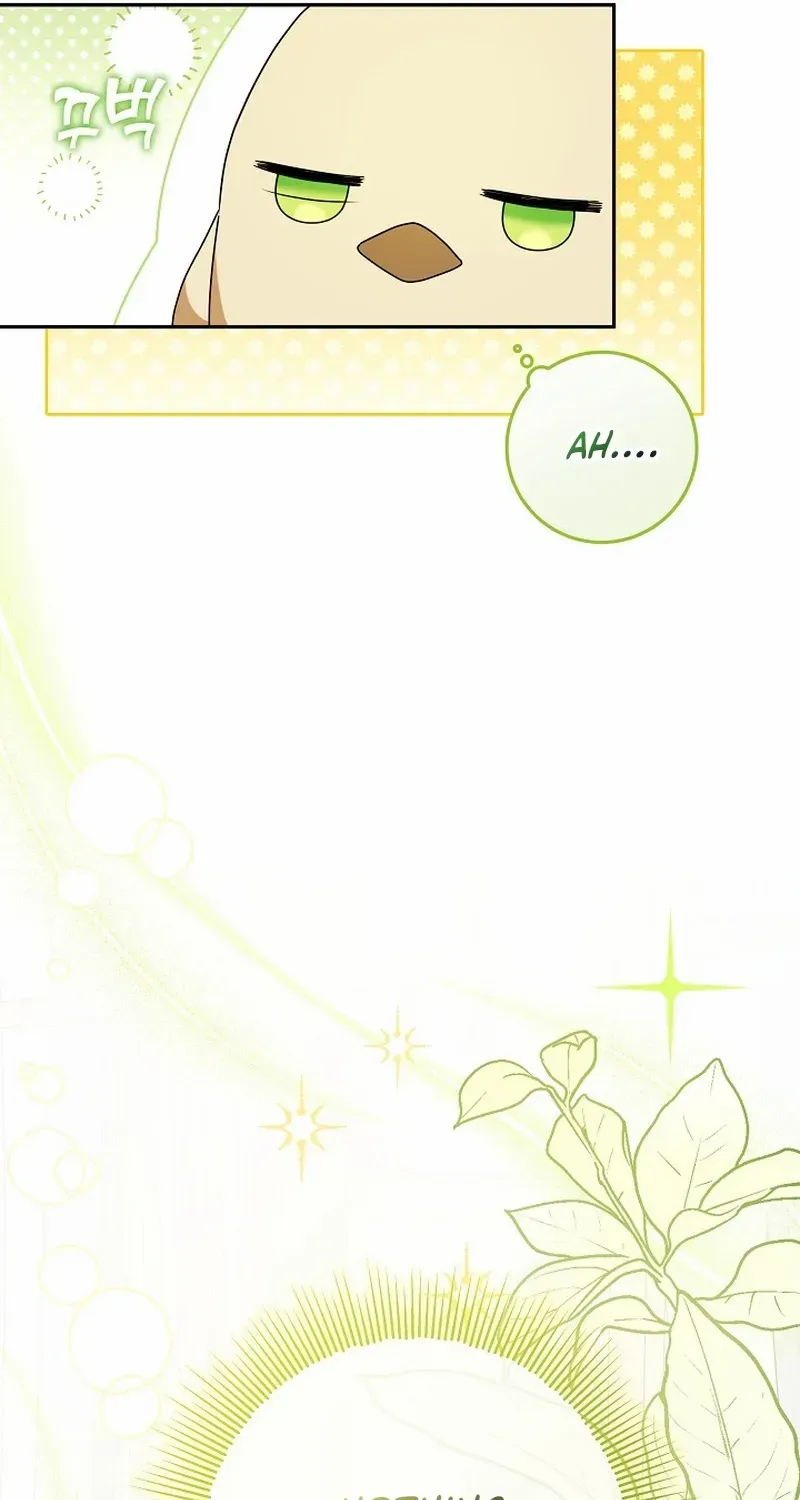 The Beloved New Daughter-in-law Of The Wolf Mansion Chapter 8 page 24 - 