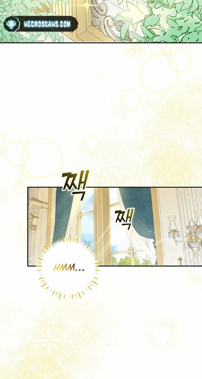 The Beloved New Daughter-in-law Of The Wolf Mansion Chapter 8 page 26 - 