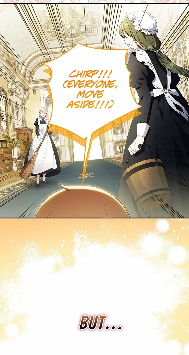 The Beloved New Daughter-in-law Of The Wolf Mansion Chapter 8 page 4 - 