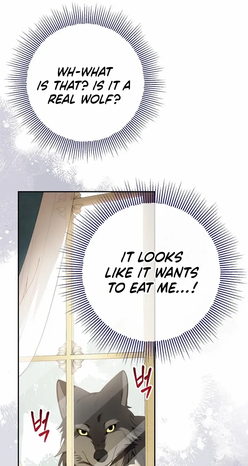 The Beloved New Daughter-in-law Of The Wolf Mansion Chapter 8 page 46 - 