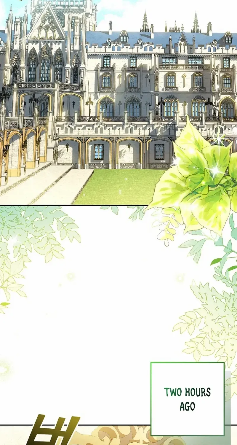 The Beloved New Daughter-in-law Of The Wolf Mansion Chapter 8 page 9 - 