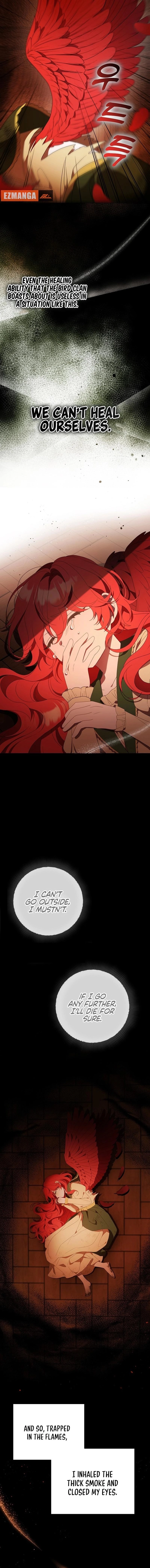 The Beloved New Daughter-In-Law of the Wolf