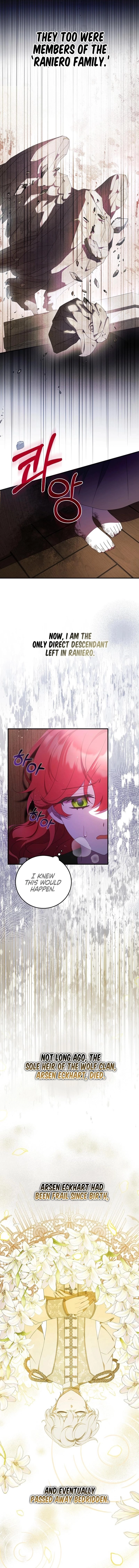 The Beloved New Daughter-In-Law of the Wolf