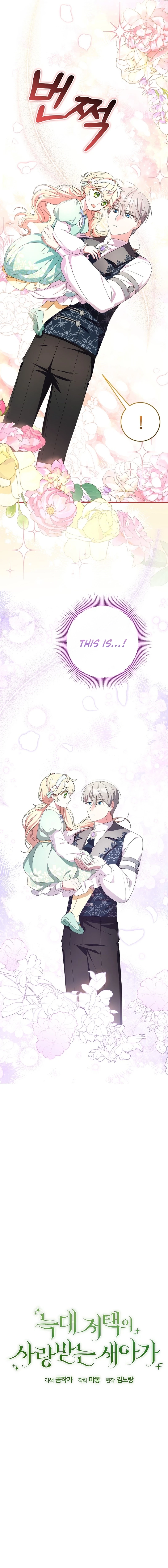 The Beloved New Daughter-In-Law of the Wolf