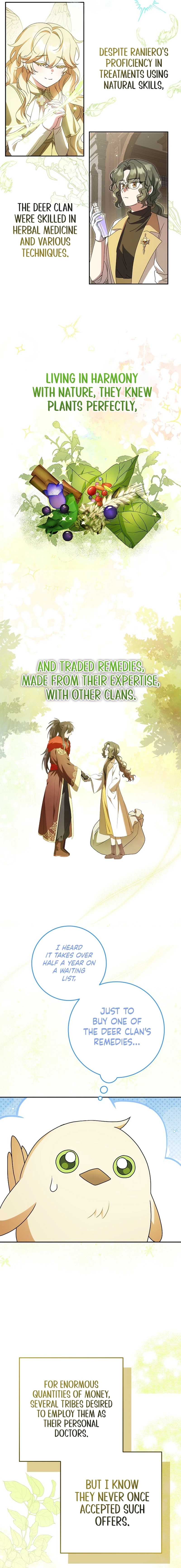 The Beloved New Daughter-In-Law of the Wolf