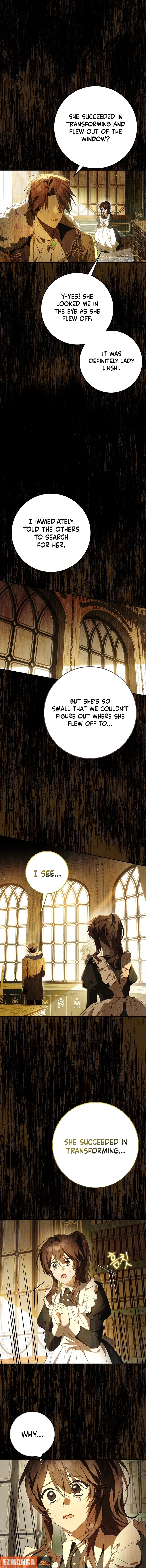 The Beloved New Daughter-In-Law of the Wolf
