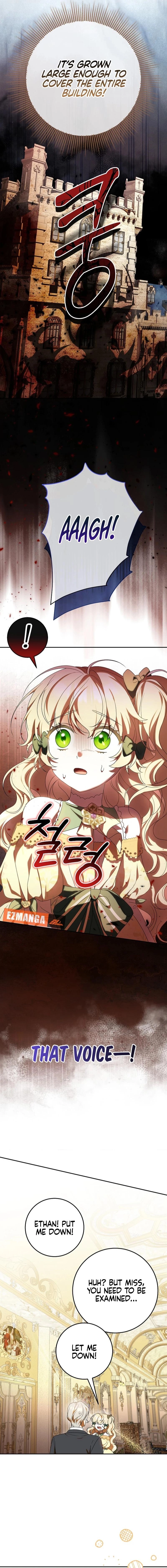 The Beloved New Daughter-In-Law of the Wolf