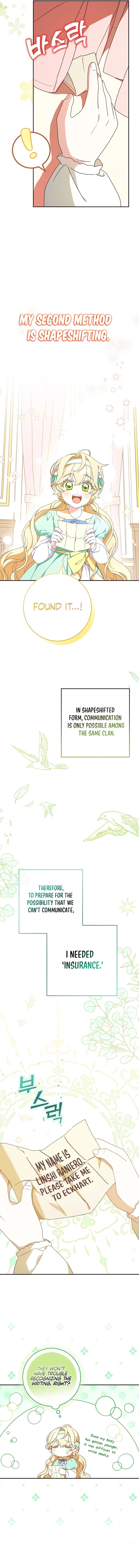 The Beloved New Daughter-In-Law of the Wolf