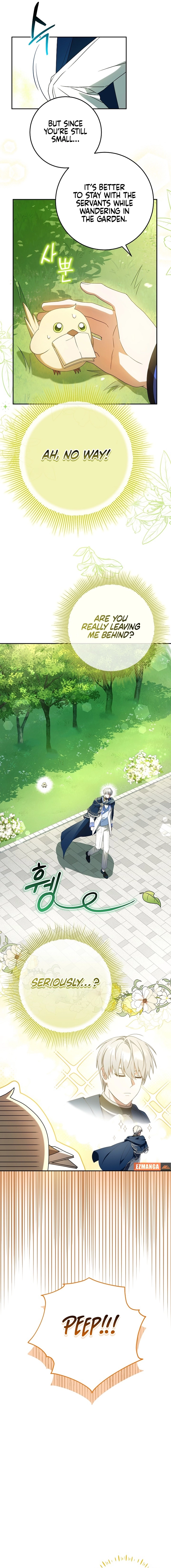 The Beloved New Daughter-In-Law of the Wolf