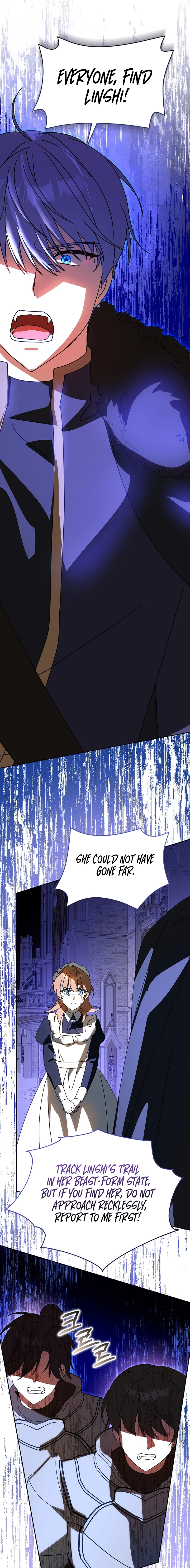 The Beloved New Daughter-In-Law of the Wolf