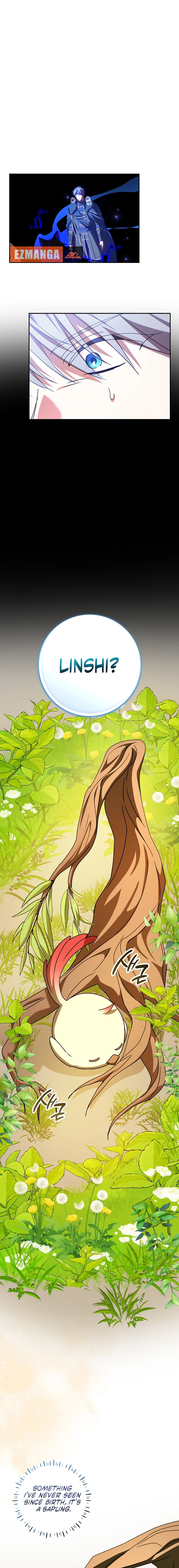 The Beloved New Daughter-In-Law of the Wolf